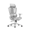 21 Silla ergonómica Apex Grey