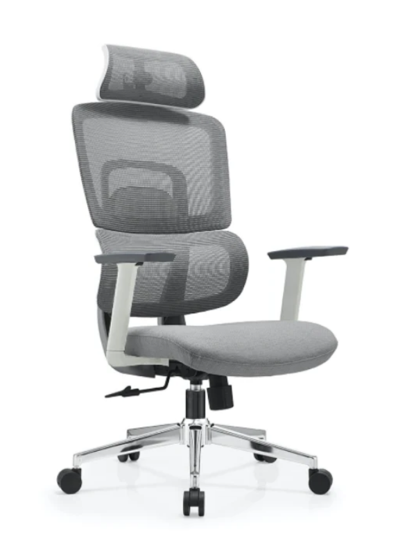 Silla ergonómica Gary Blanca